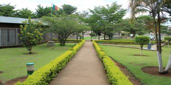 Faculté de Medecine et des Sciences Biomedicales (FMSB)
